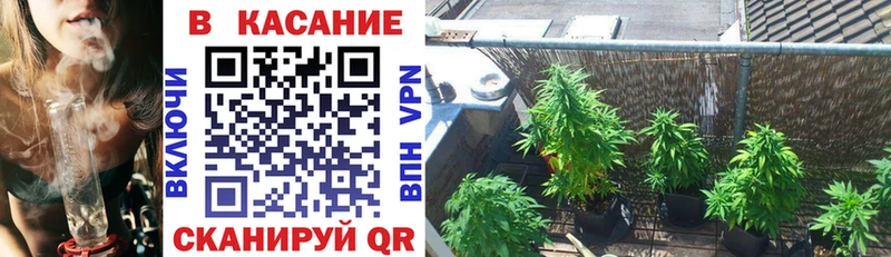 Наркошоп купить ГАШИШ  COCAIN  МЕФ  А ПВП  АМФ  Бошки Шишки  Вичуга