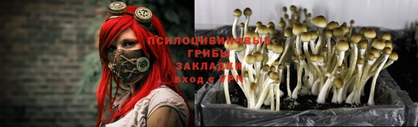 хмурый Хадыженск