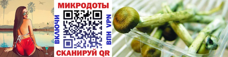Галлюциногенные грибы прущие грибы  Купить где  Вичуга 